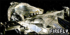 100x50 code