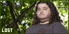 100x50 code